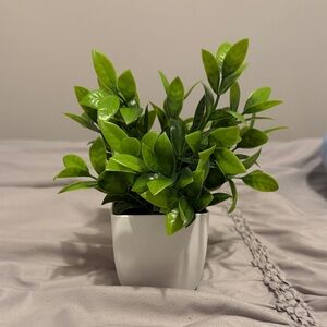Artificial Green Plant in White Pot